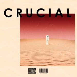 Crucial (feat. SimulationRxps)