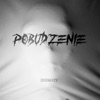 Pobudzenie