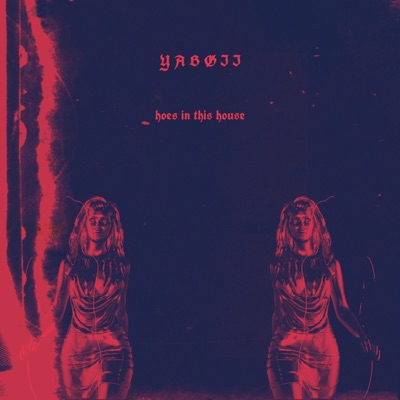 Hoes in this House - Single