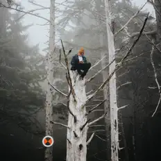 Listen to C3, watch music videos, read bio, see tour dates & more!