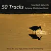 Nature Sound Series - Soothing Sleep Sounds (Rain on the Roof)