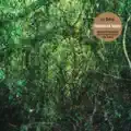 La Selva, Pt. 2