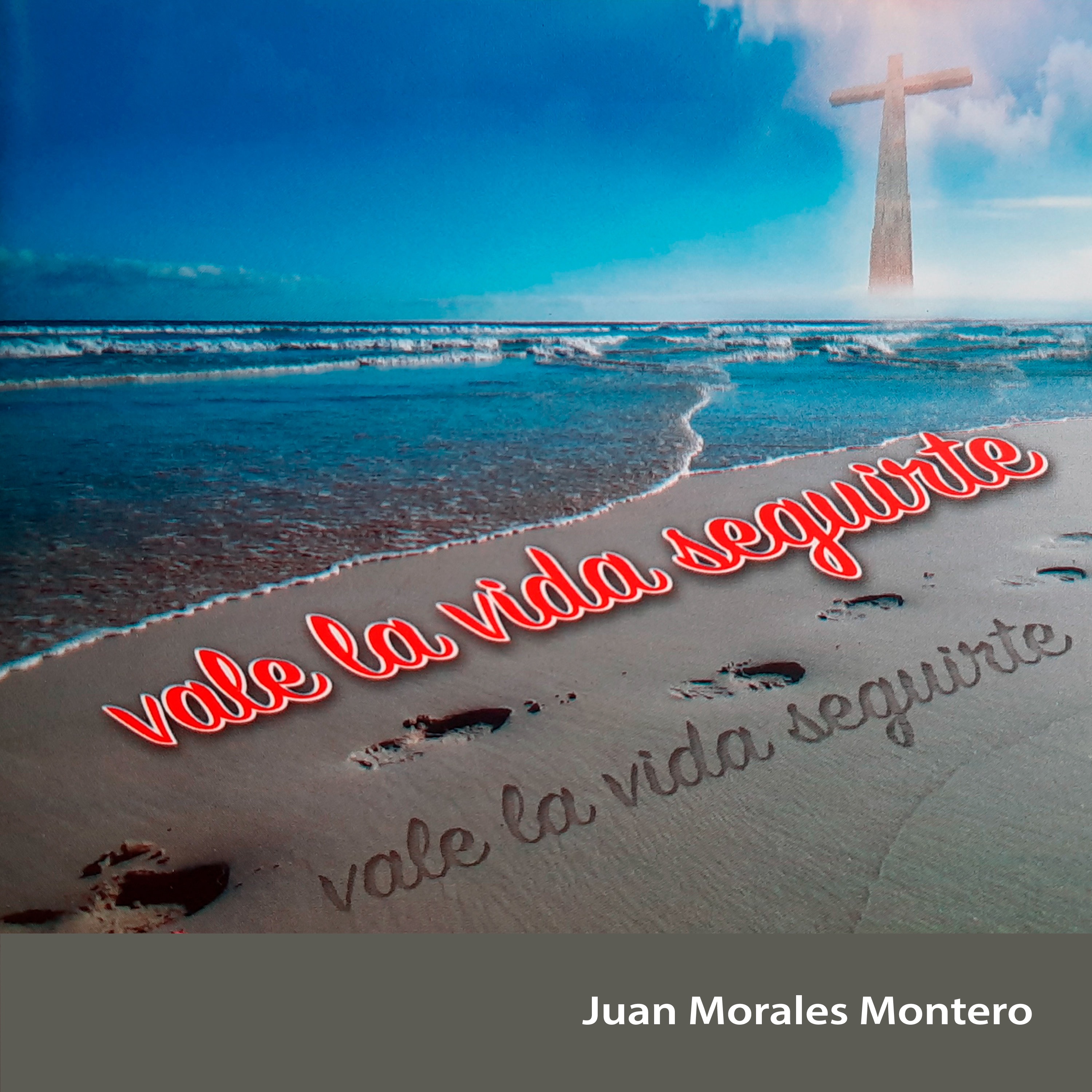 Vale la Vida Seguirte