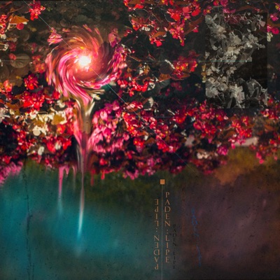 A Song for the Times - Single