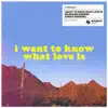 Stream & download I Want To Know What Love Is (BLOND:ISH Sunrise Jungle Rework) - Single
