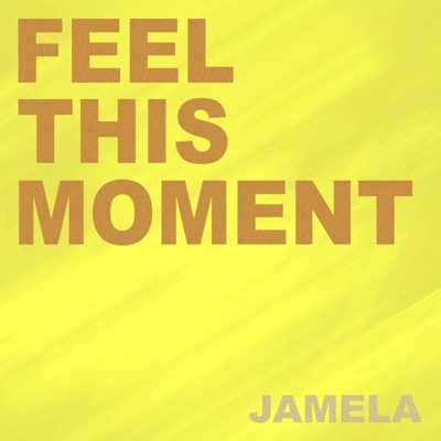 Feel This Moment (Instrumental Karaoke Extended Originally Performed By Pitbull  feat. Christina Aguilera) - Jamela | Shazam
