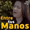 Entre tus manos