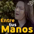 Entre tus manos