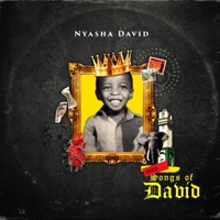 Njenjere - Single - Nyasha David