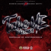 Take From Me - Single - Niddie Banga & Brizko Gotti