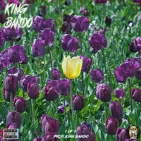 1 Of 1 - Single - King Bando
