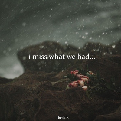 I Miss What We Had... - Single