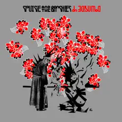 Downside Up (Box Set) - Siouxsie and The Banshees