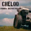 Suma Defectelor
