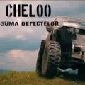 Suma Defectelor