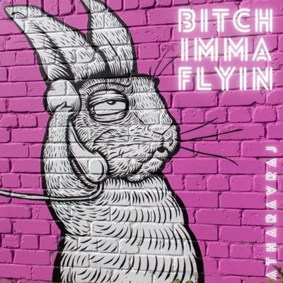 Bitch Imma Flyin' - Single
