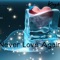 Never Love Again - Kingdomo lyrics
