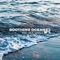 Soul Detox on the Beach - Ocean Beach Waves Consort lyrics