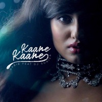 Kaane Kaane (feat. DJ Sonica) - Single - Habib Wahid