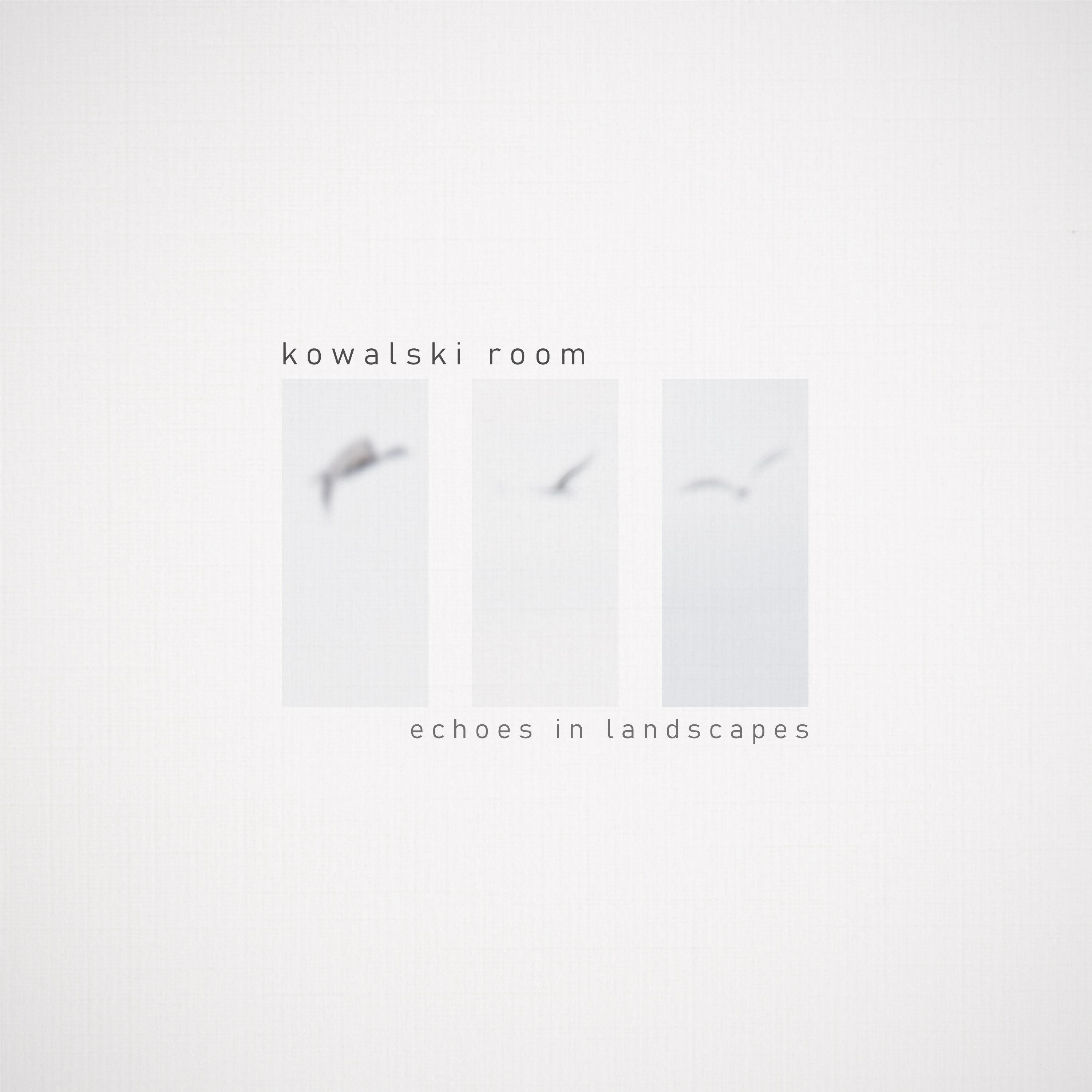 Echoes in Landscapes