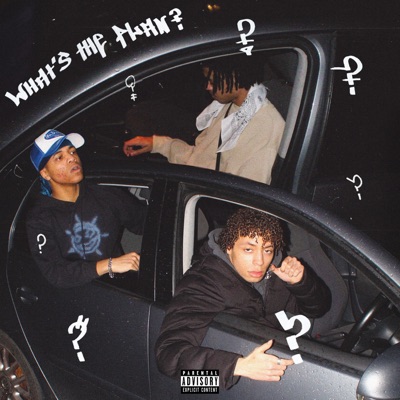 What's the Plan? (feat. Fayd, Saint Palmz & Pluto Digital) - Single