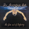 The Boomtown Rats - I Don't Like Mondays illustration