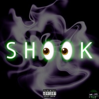 Shook - Single - MAC