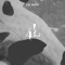 4L - Lil rosé lyrics