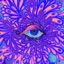 Indigo Eye - Single