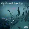 Say It's Not Too Late