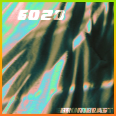 6020 - Single