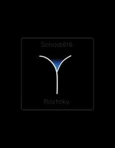 Schodisteを聴いたり、ミュージックビデオを鑑賞したり、経歴やツアー日程などを確認したりしましょう！