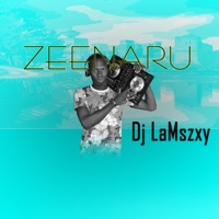 Zeenaru (feat. Umar M Shareef) - Single - Dj Lamszxy