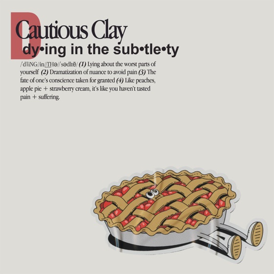 Cover artwork for Dying in the Subtlety