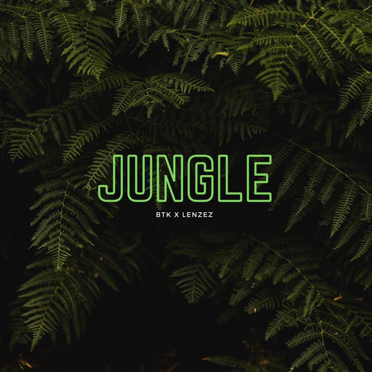 Jungle альбом. Jungle album. Jungle песня. Jungle Music Vol 2. Jungle песня перевод