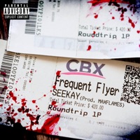 Frequent Flyer - Single - Seekay