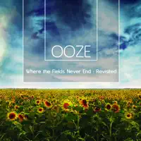 Get It Done (Sebastian Mullaert's Wander In Space Remix) — OOZE
