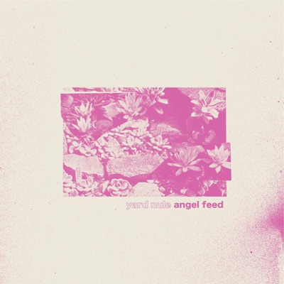 Angel Feed - Single