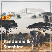 Pandemie & Sunshine - Single - Tim Tenckhoff & Dom Tilson