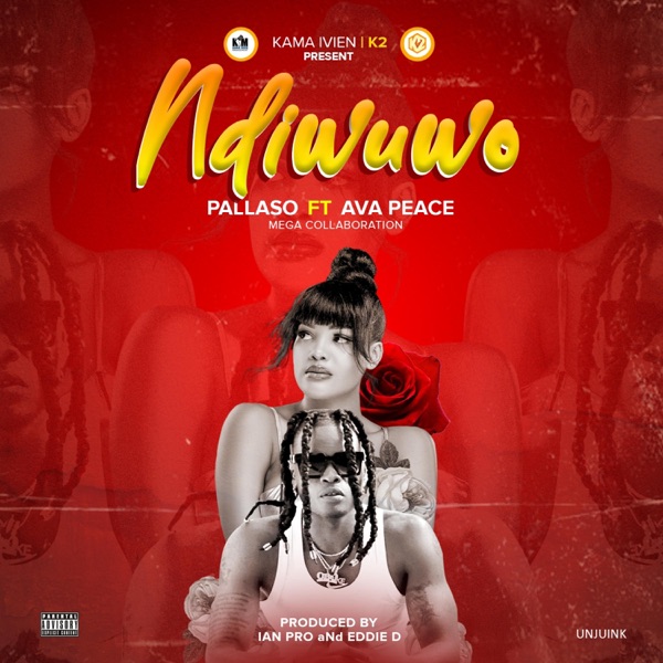 Ndiwuwo (feat. Pallaso)