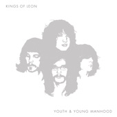 Kings of Leon - Red Morning Light