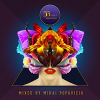 Pornbugs - When You Are Gone (Mihai Popoviciu Remix) [Mixed]