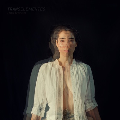 TRANSELEMENTES - EP