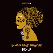 Big Up (feat. Shaydee) artwork