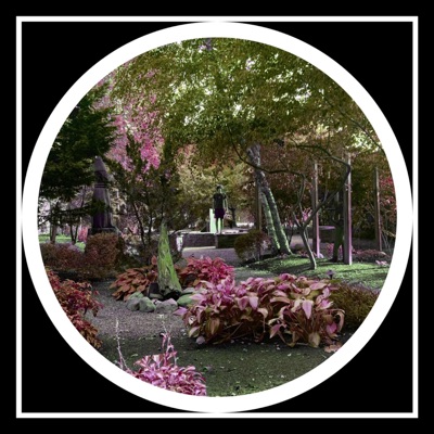 Take Ya Time (feat. Vivianna & Reek) - Single