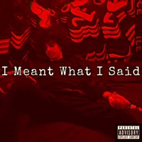 I Meant What I Said - T-Rain