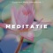 Hatha Yoga - John Spa Williams lyrics