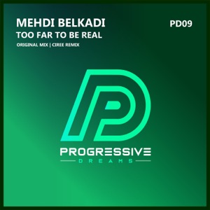 Too Far to Be Real - Single