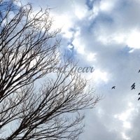 Next Year - Single - Lio, Lynette Kim & Chasu