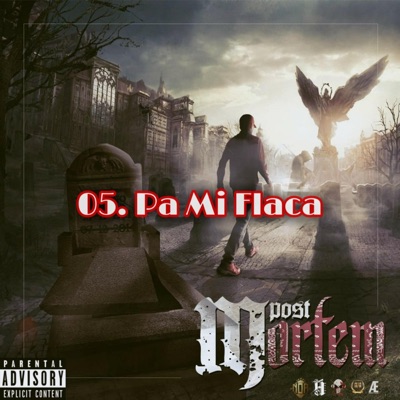 Pa Mi Flaca - Single